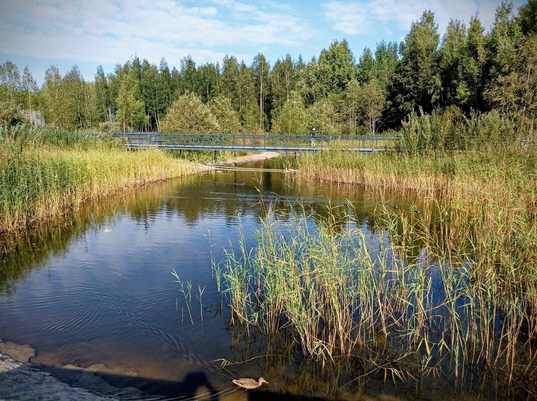 В парке Тондираба - Veera V