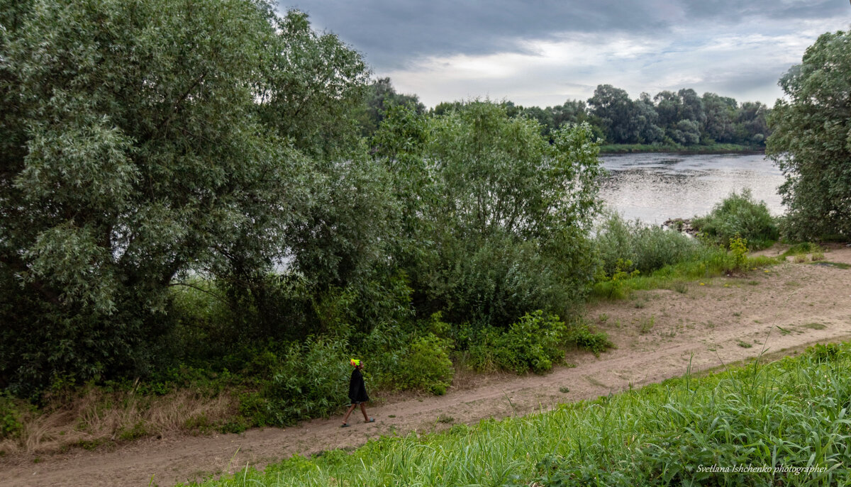 р. Нарев - Светлана Ищенко