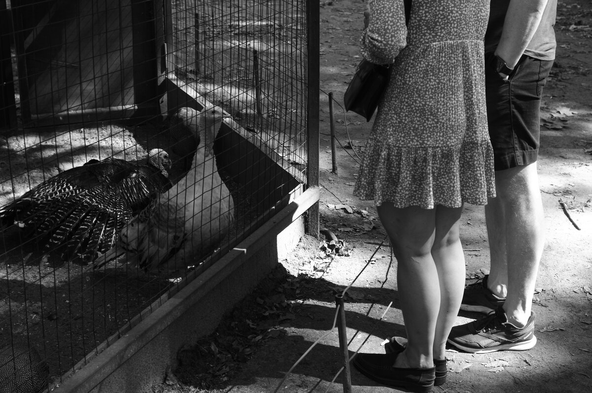 .... - Юрий Самсонов