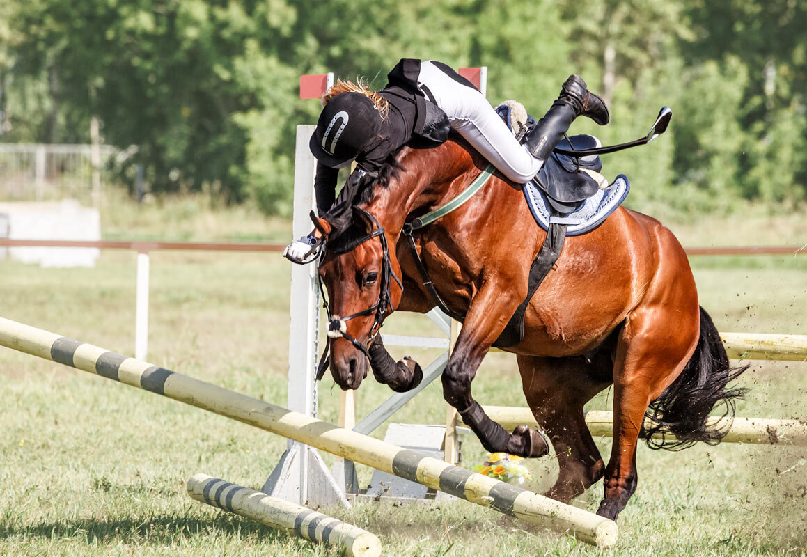 Конкур - SanSan 