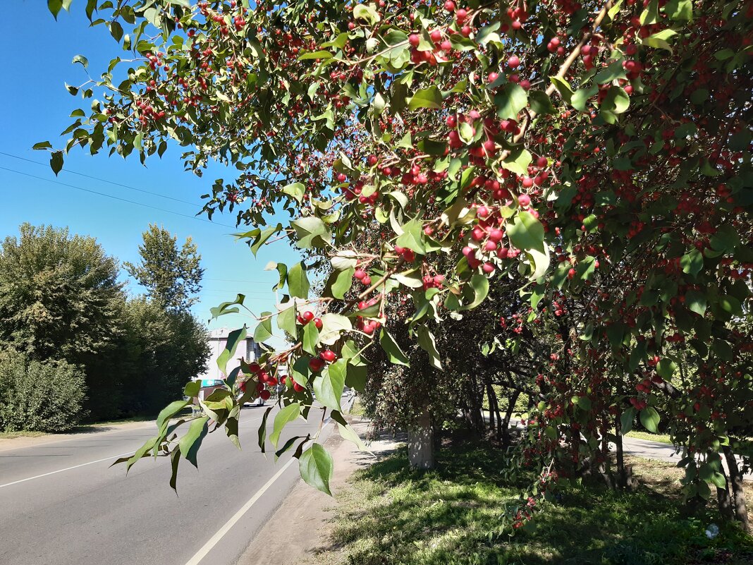 В городе осенью - Галина Минчук