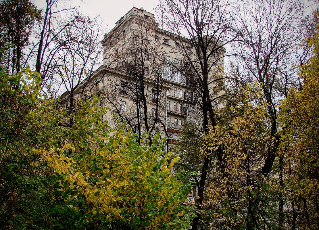 Вид из сада на проспект Мира,,, - Анатолий Колосов