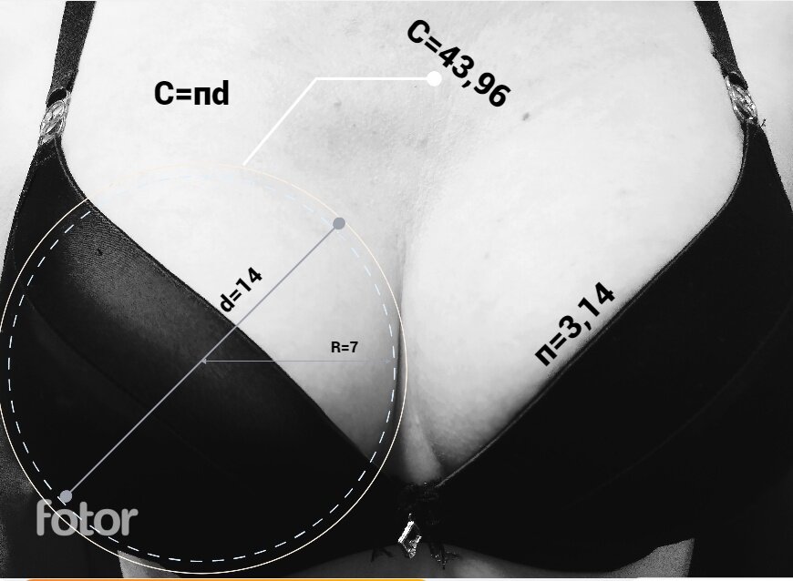 Длина окружности - Алекс 