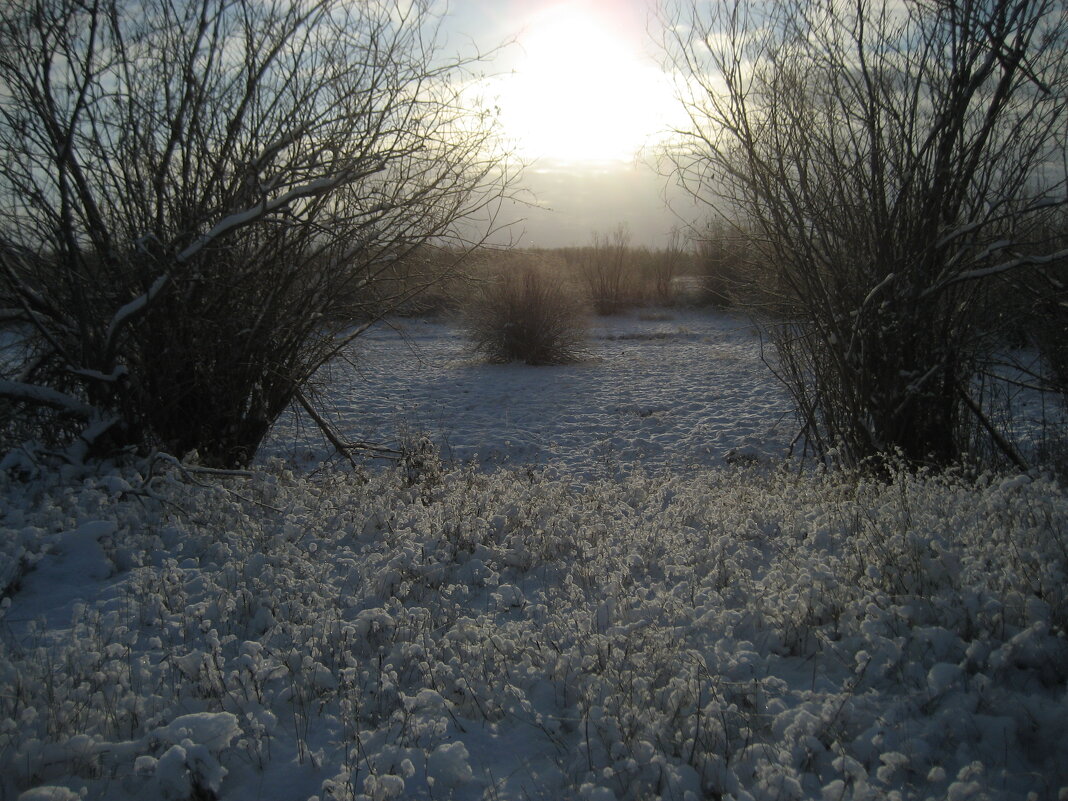 Морозное утро - Anna Ivanova