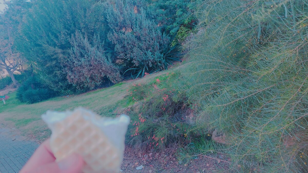 13  ОПЕН (339) - OPEN WAYS ALL