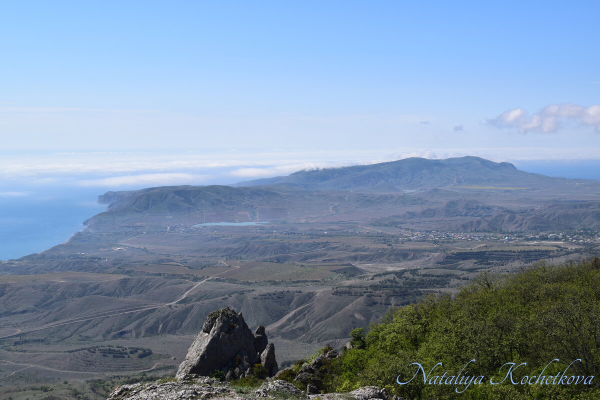 Природа Крыма - Amazing Cosmea