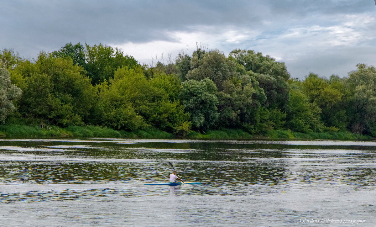 ... - Светлана Ищенко