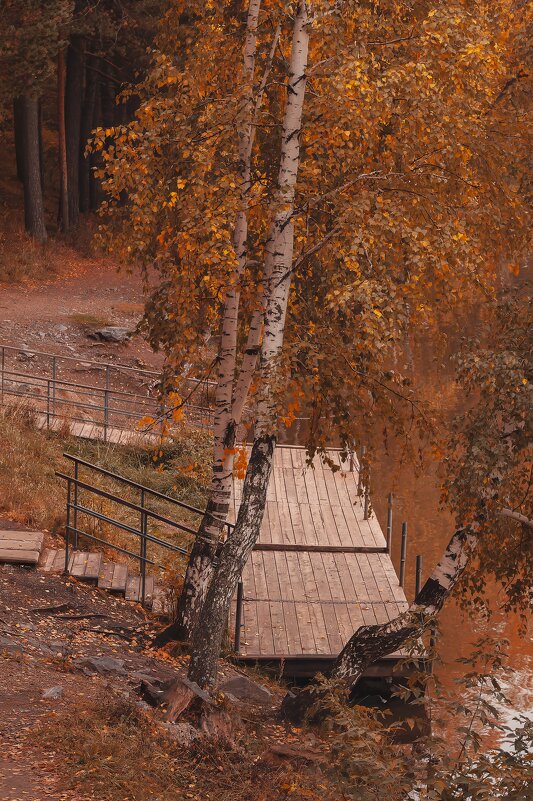 Осень — затишье перед зимой. - Вадим Басов