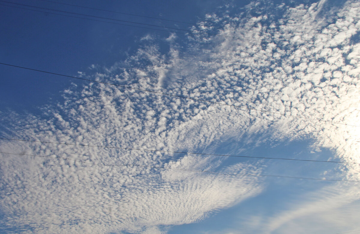 . - РИТА ЛЕВКОВА