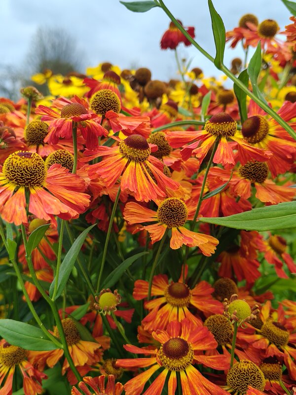 :)) - Андрей :)) - Андрей