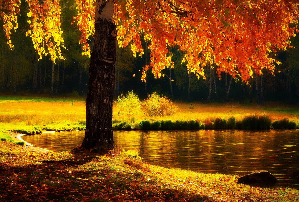 Осенняя пора - Станислав ..