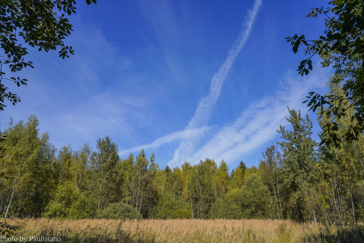 На опушке... - Владимир Жданов