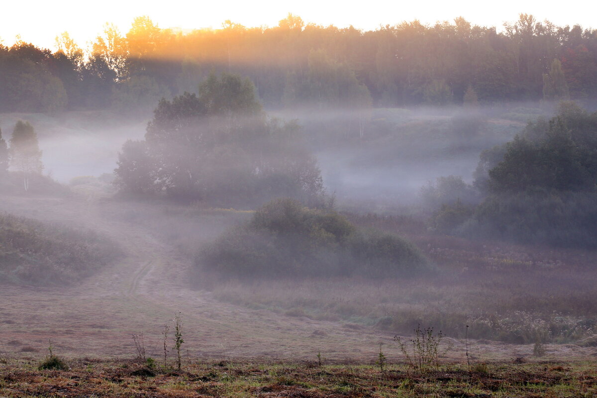 Утро 13 сентября - Михаил Бибичков Утро 13 сентября - Михаил Бибичков