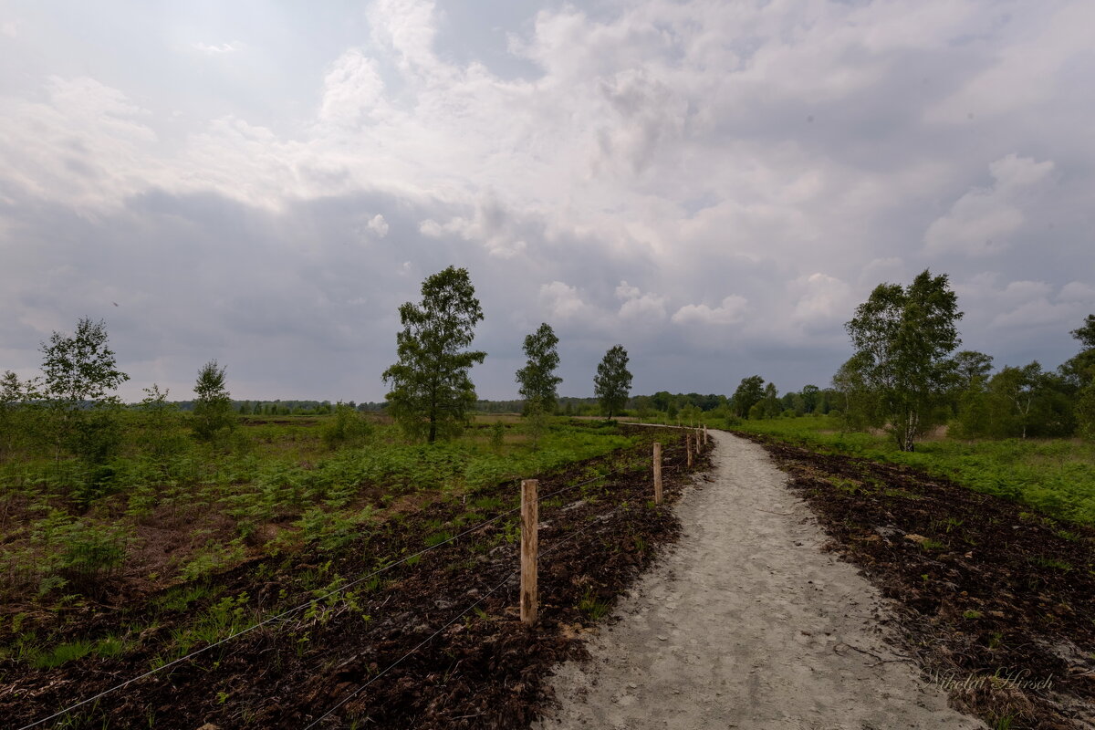 Новый маршрут... - Николай Гирш