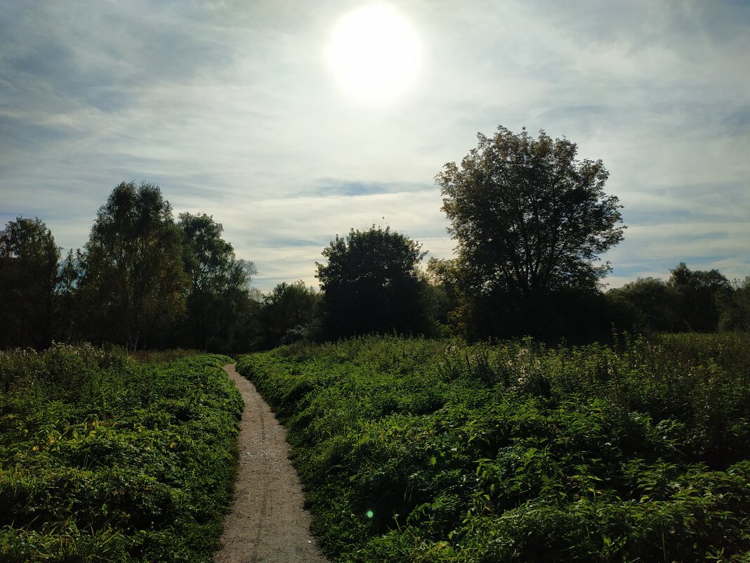 Бабье лето продолжается - Андрей Лукьянов