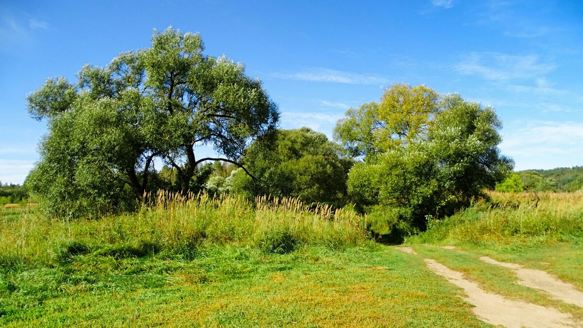 Смоленщина в сентябре (репортаж об осеннем озере). - Милешкин Владимир Алексеевич 