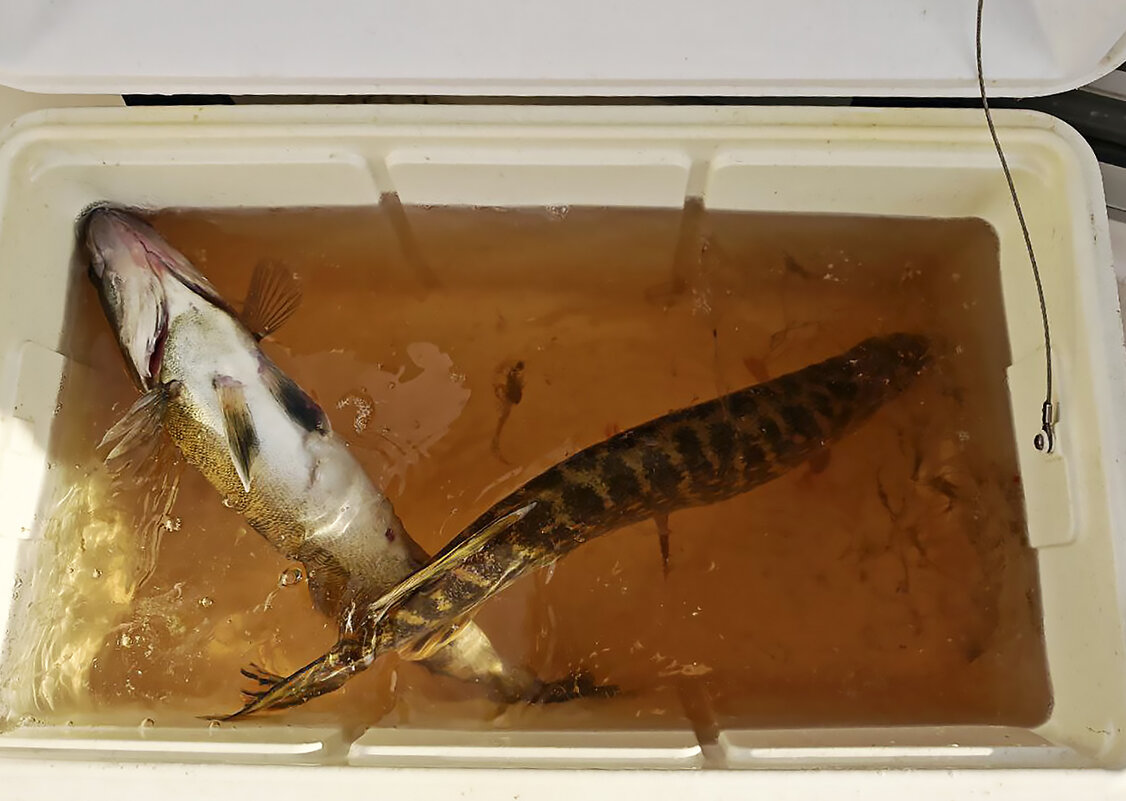 Начало есть - Валерий Иванович