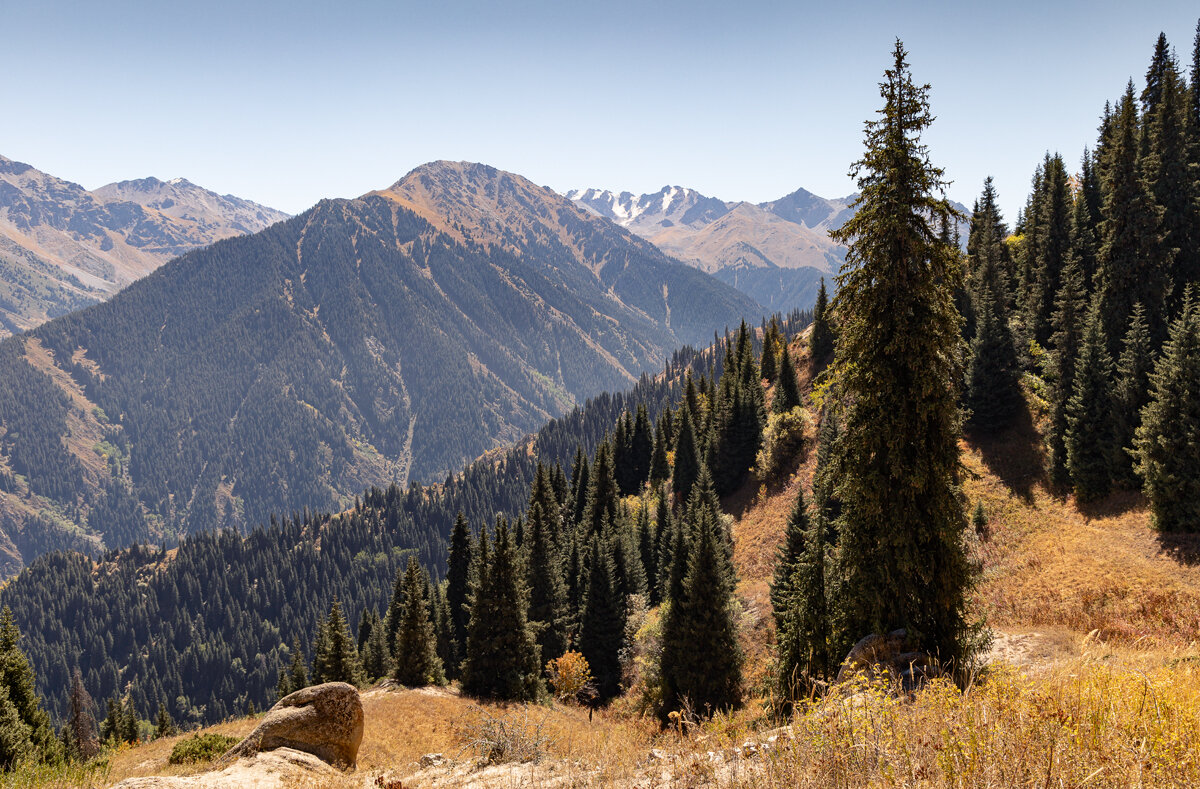 Вот и осень... - Алексей Большаков