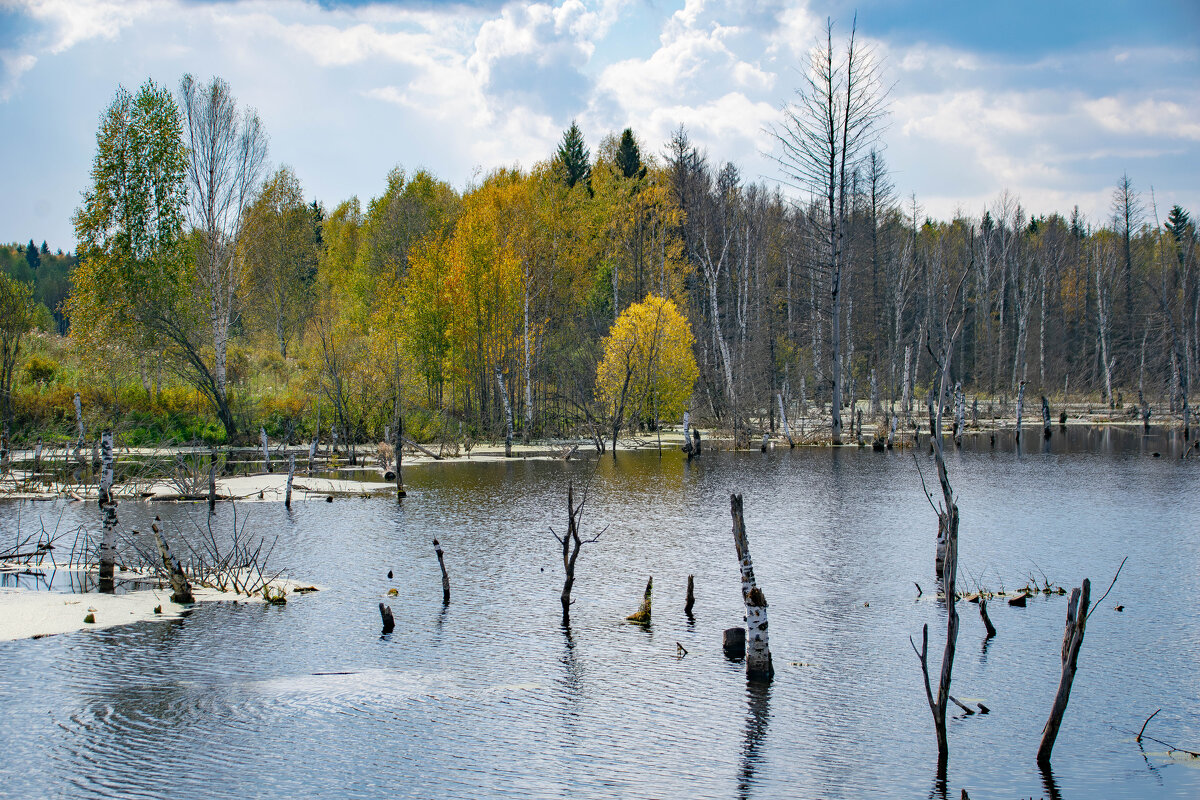 - - Владимир Мигонькин