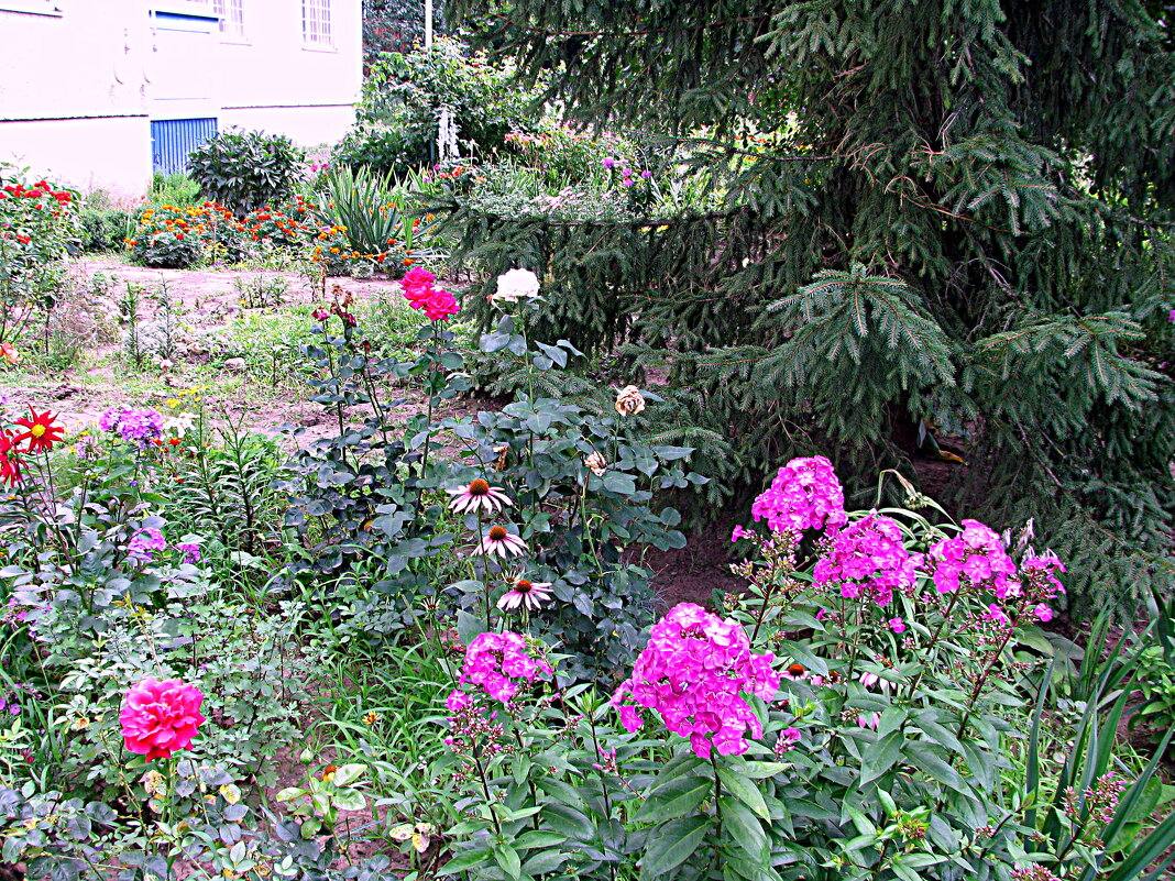 Цветы. - Владимир Драгунский