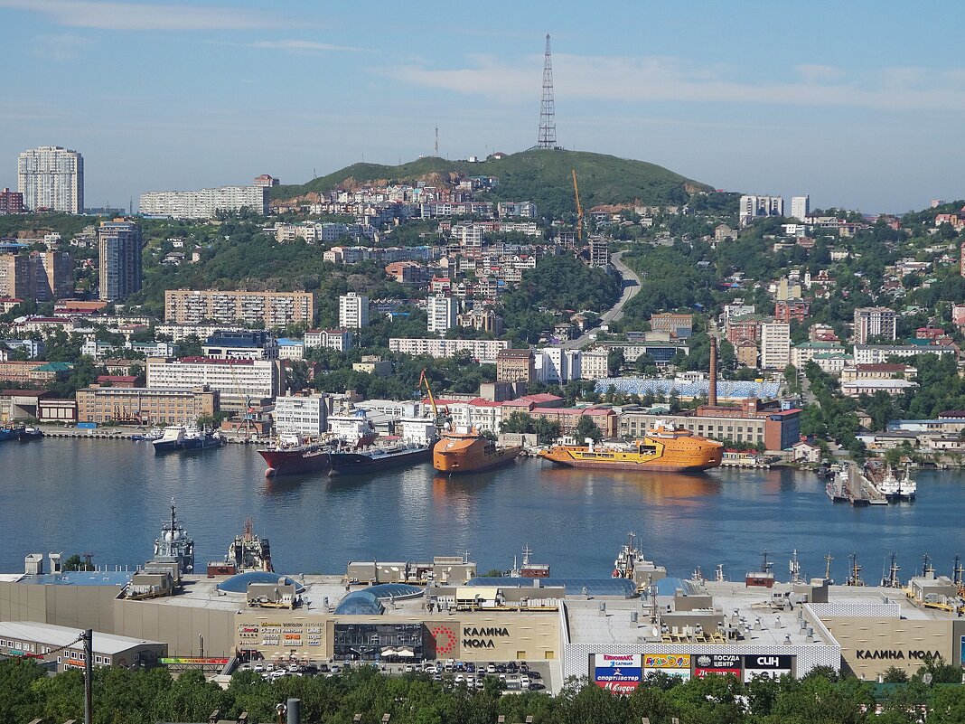 Вид на Владивосток с сопки Бурачка - Лидия Бусурина