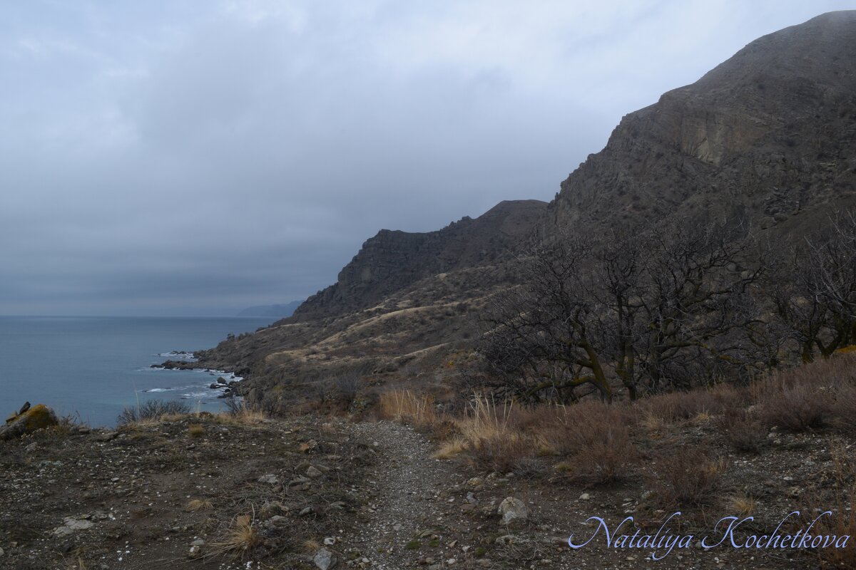 Природа Крыма - Amazing Cosmea