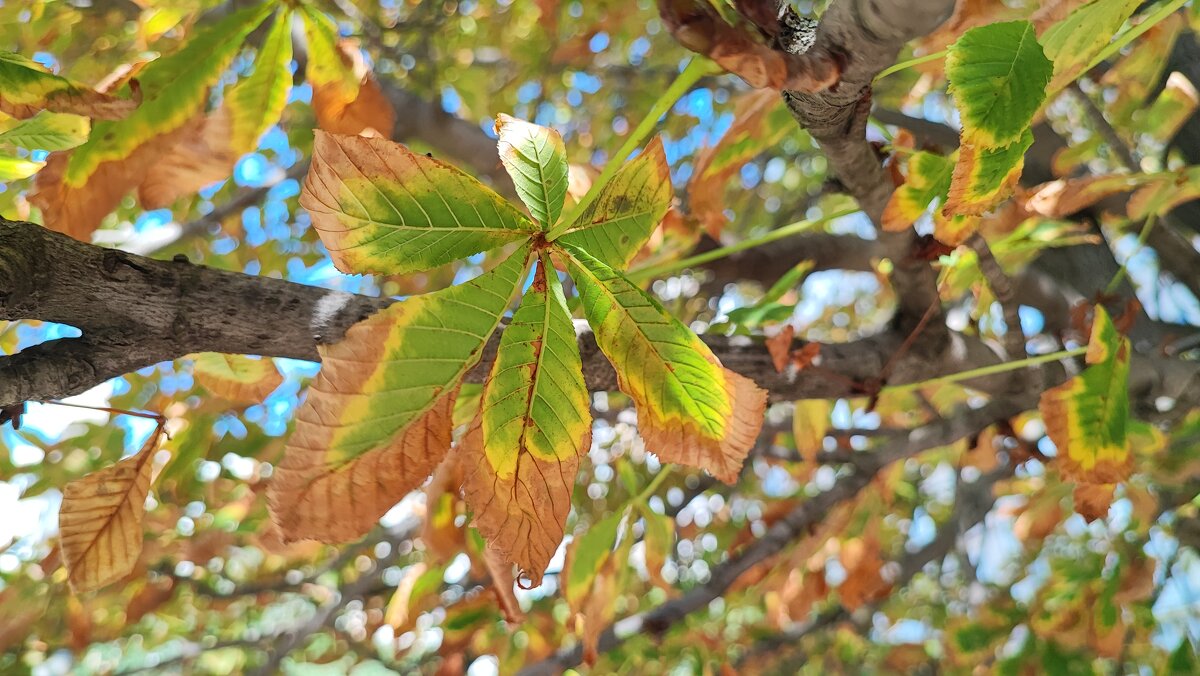 ... - Сергей Тимоновский
