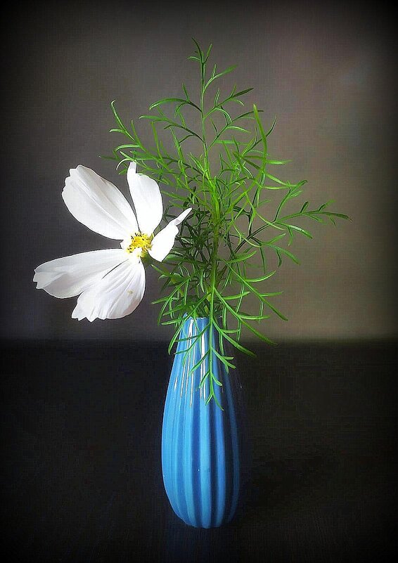 Космея раскрыла объятье - TAMARA КАДАНОВА