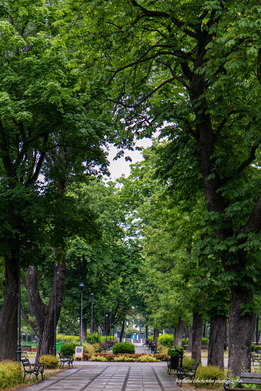 Новы Двур Мазовецки - Светлана Ищенко