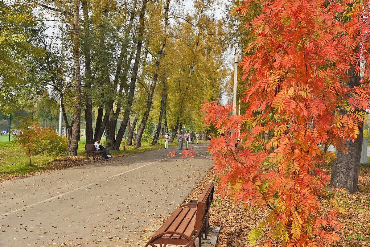 Аллея осени. - юрий Амосов Аллея осени. - юрий Амосов