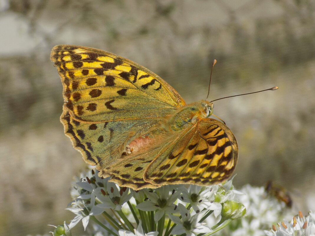 Поворот на осень... - Константин Штарк