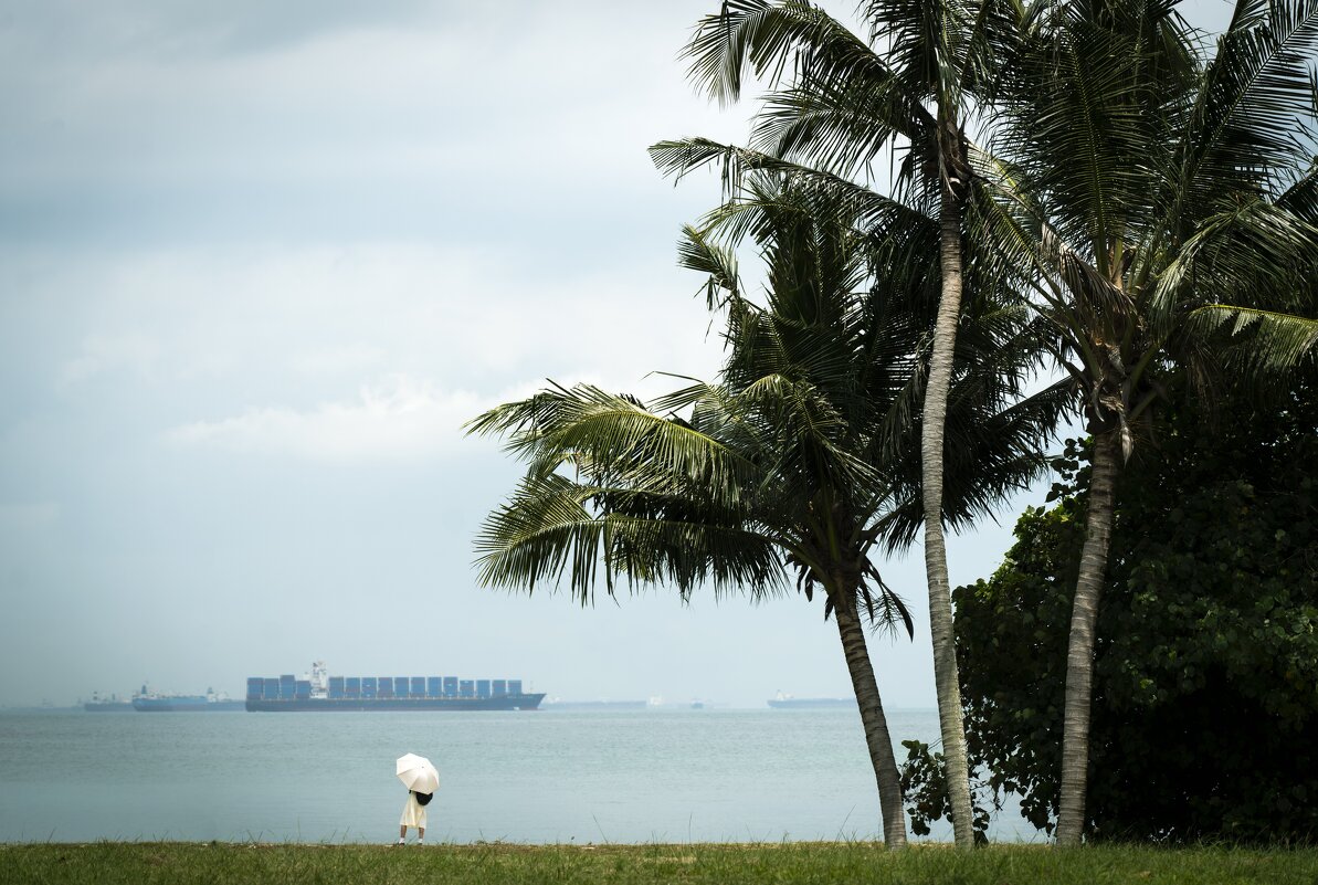 *** - Валерий Бровко