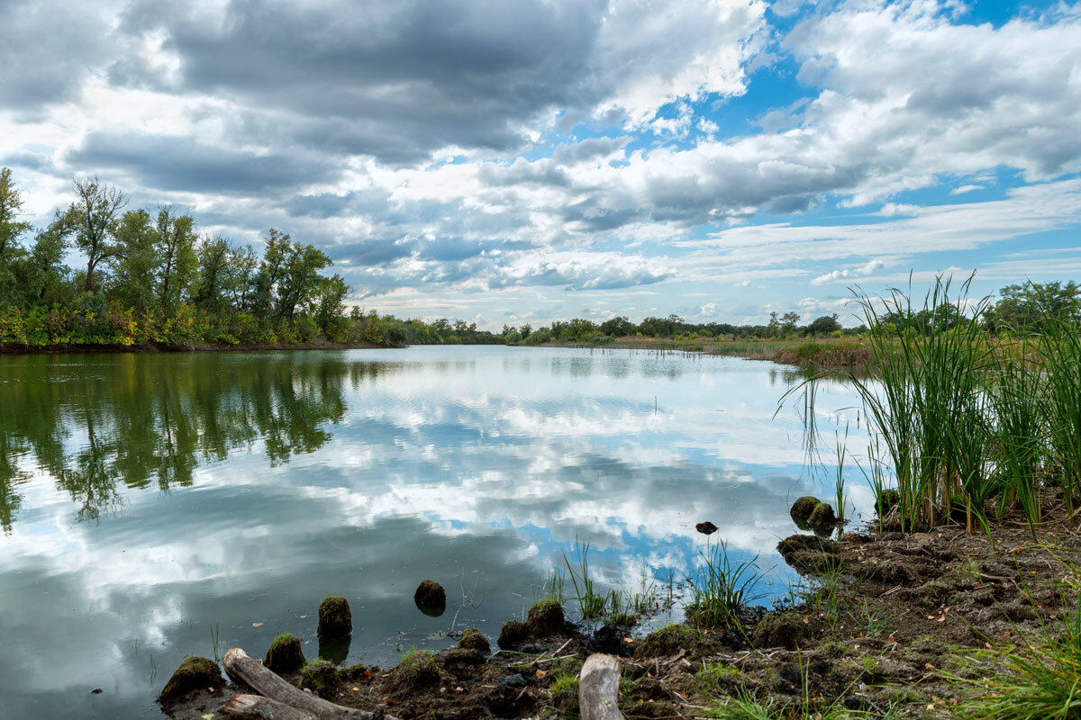 Природный парк Волго-Ахтубинская пойма. Волгоградская область. - Дина Евсеева
