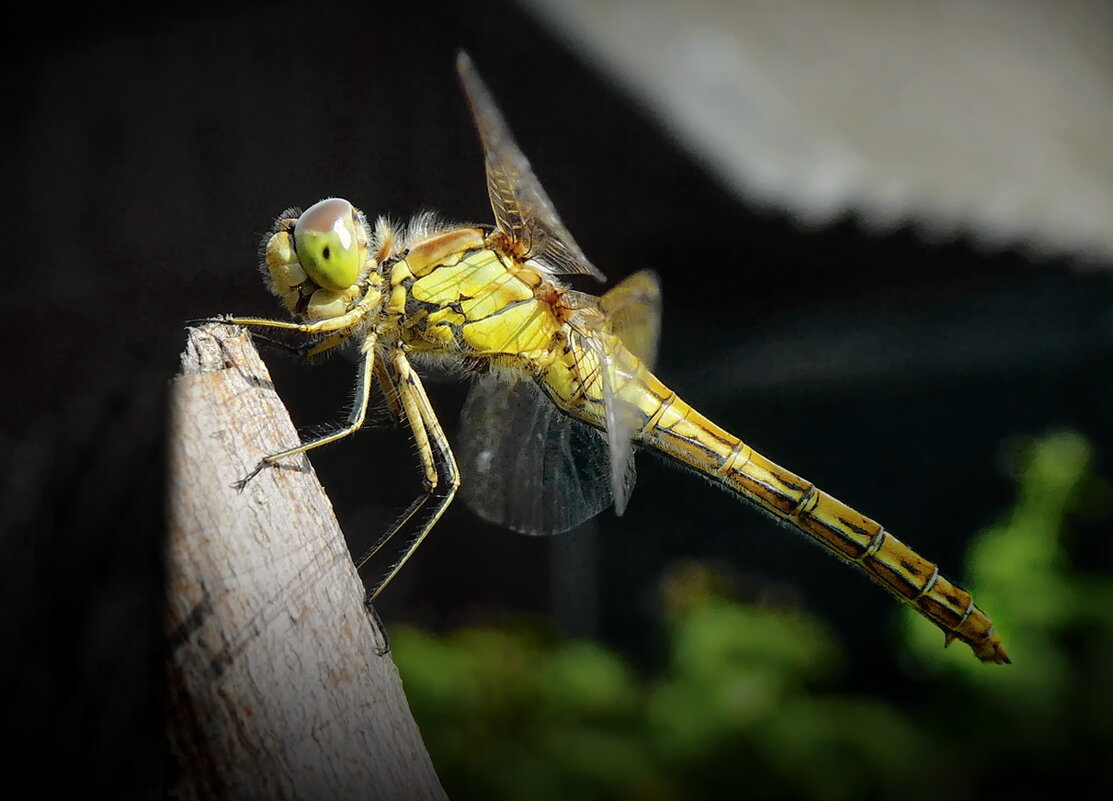Передышка... - Владимир Шошин Передышка... - Владимир Шошин
