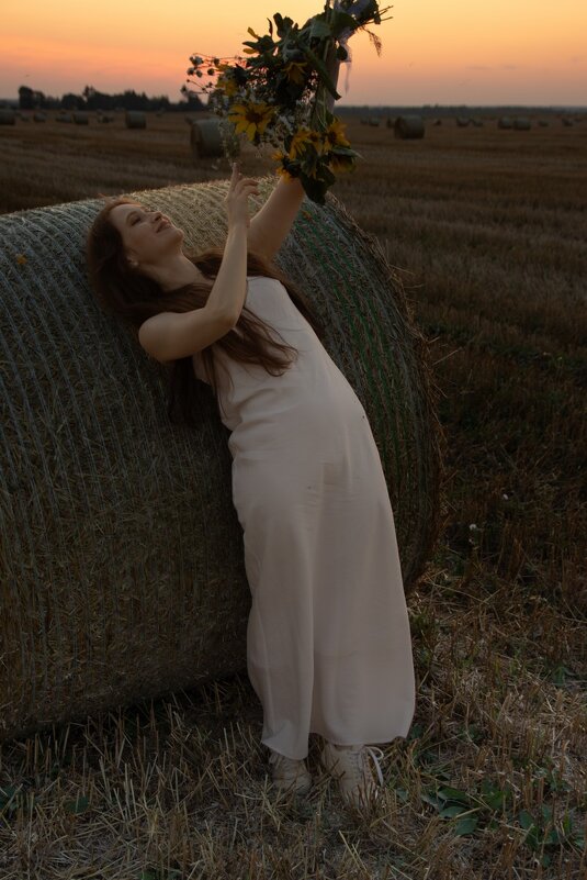 * - Евгений Ваулин