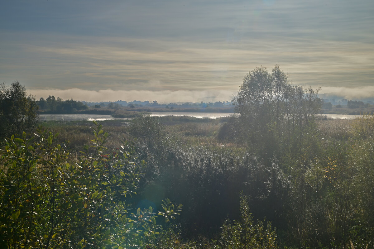 утро - Константин Сафронов
