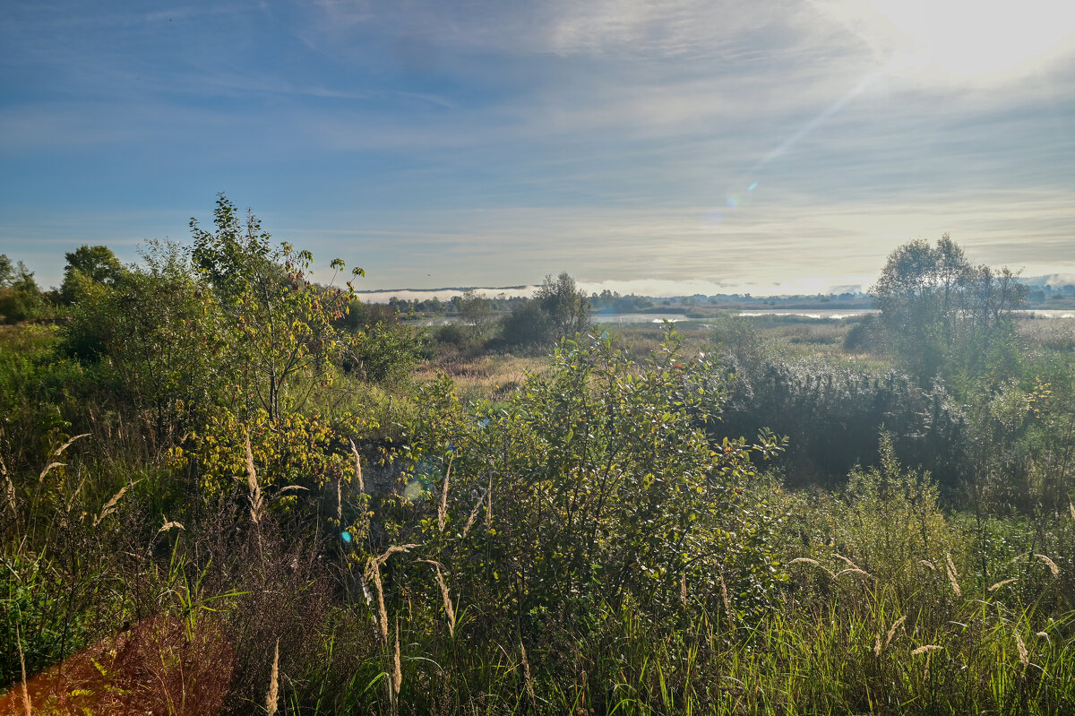 утро - Константин Сафронов