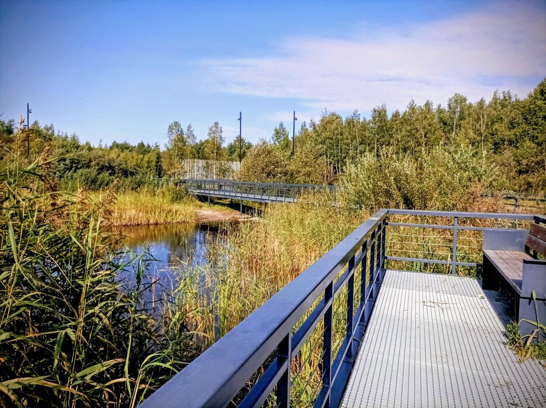 В парке Тондираба - Veera V