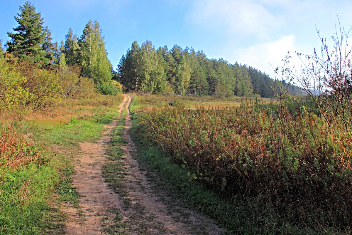 Дорогу осилит идущий - Евгений Корьевщиков