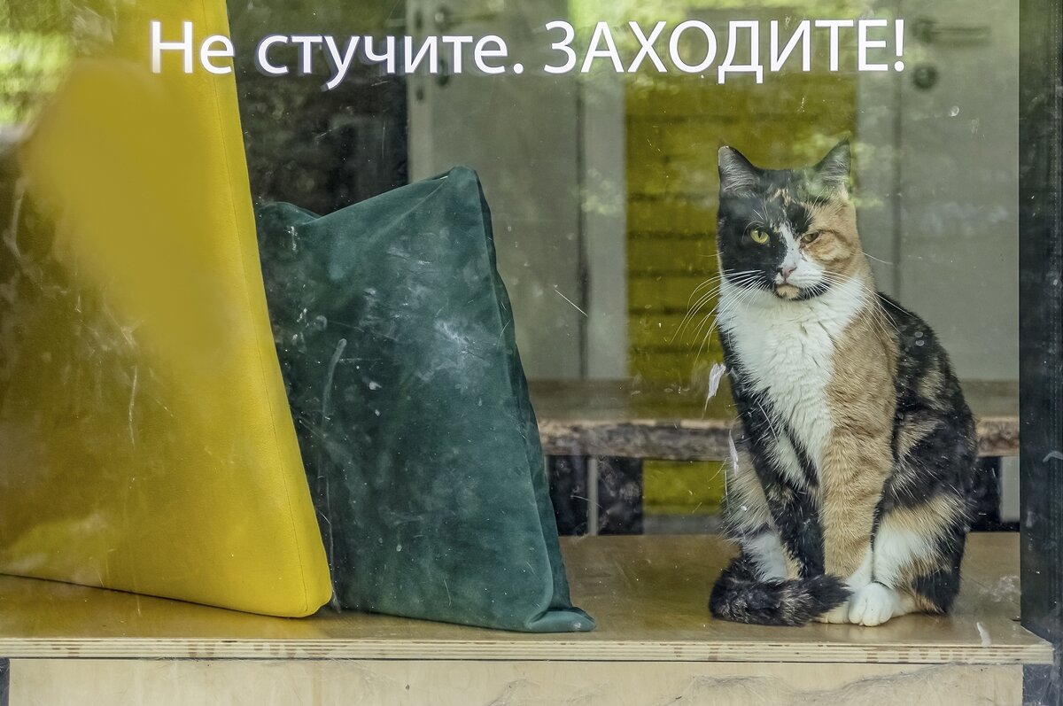 Всё под контролем - Валерий Иванович