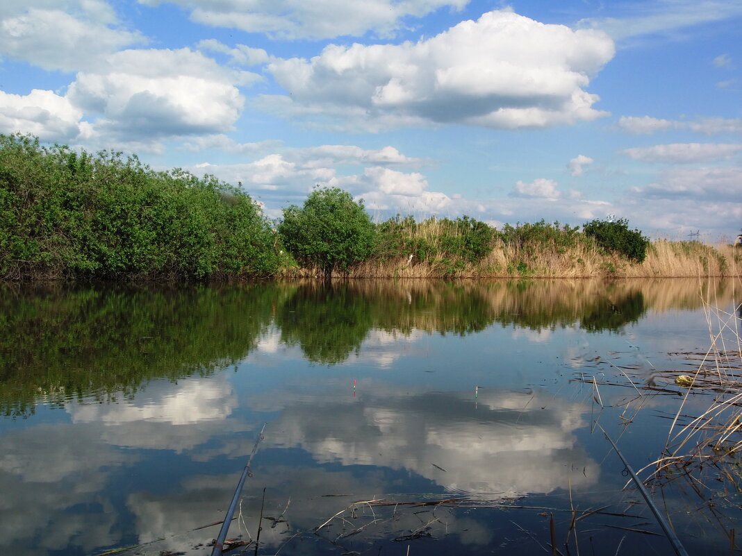 Лето и облака. - сергей ермошкин