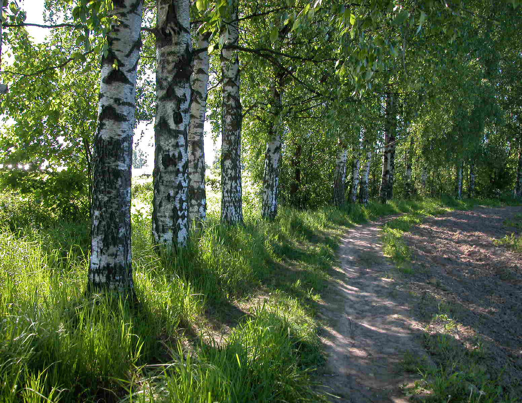 Чем дальше, тем заманчивей... - Наталья Лунева 