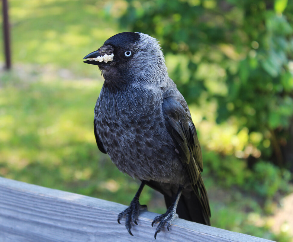 перекус - Любовь ***
