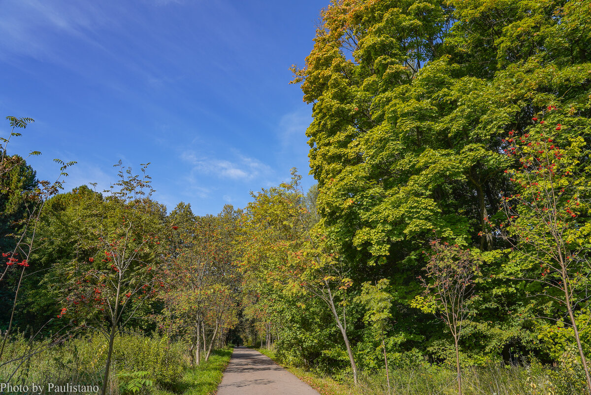 Палитра сентября... - Владимир Жданов