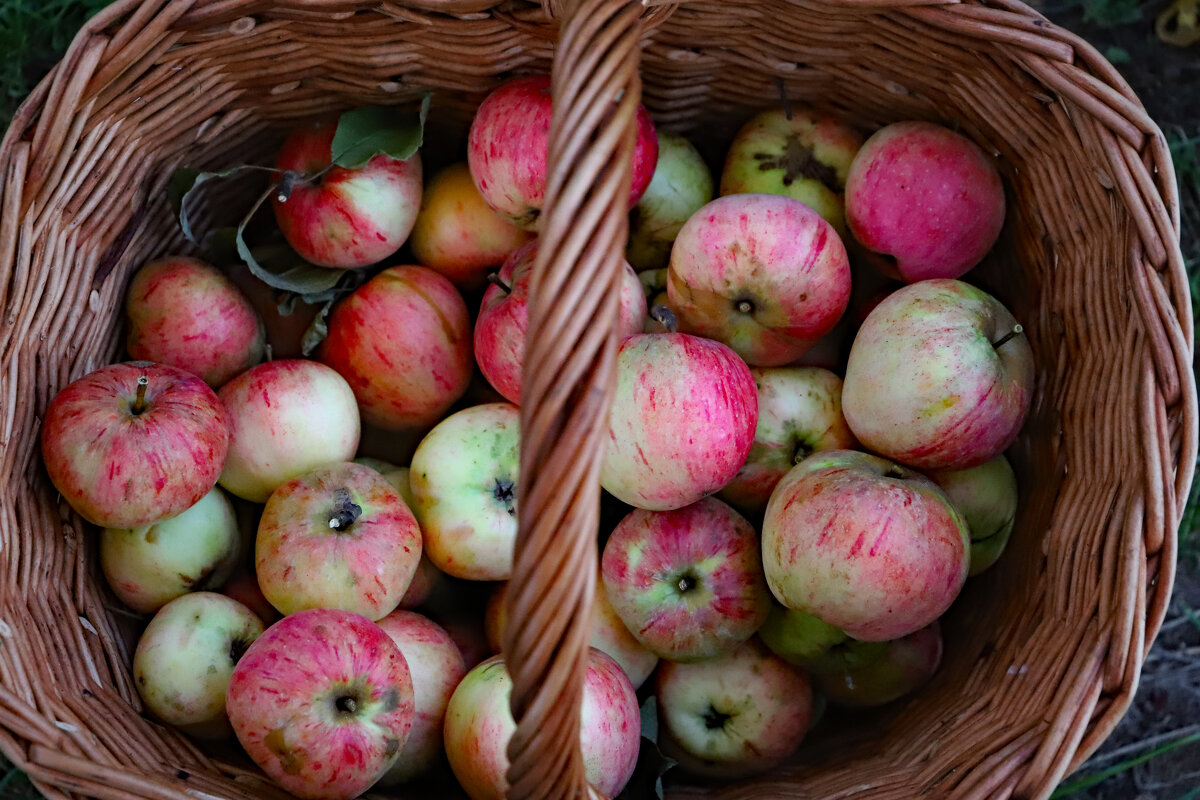 Сентябрь - краснов юрий 