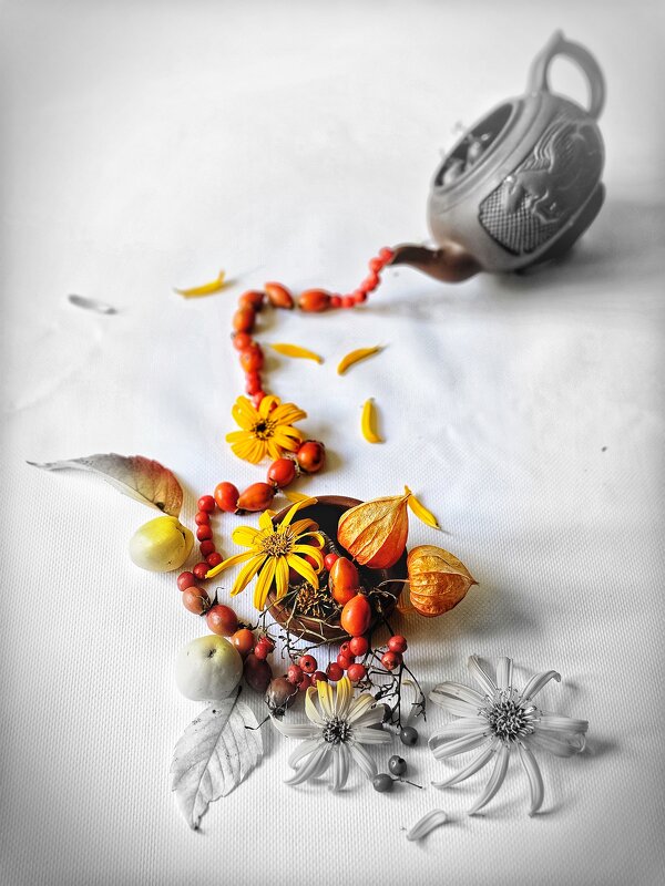 Я заварю себе Осень. - Галина Левина Я заварю себе Осень. - Галина Левина