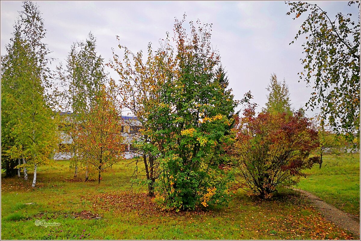 Про осенний день... - Aquarius - Сергей Про осенний день... - Aquarius - Сергей