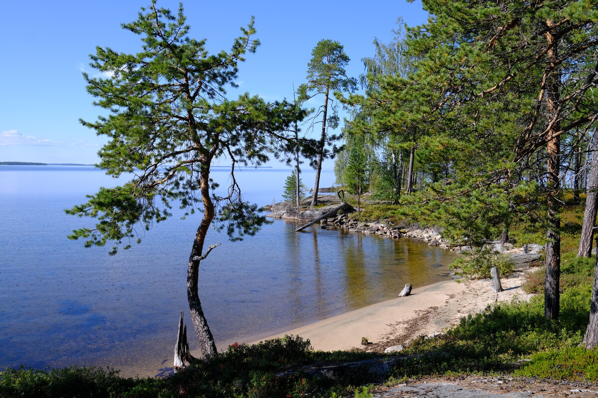 Северные виды - Андрей Зайцев Северные виды - Андрей Зайцев