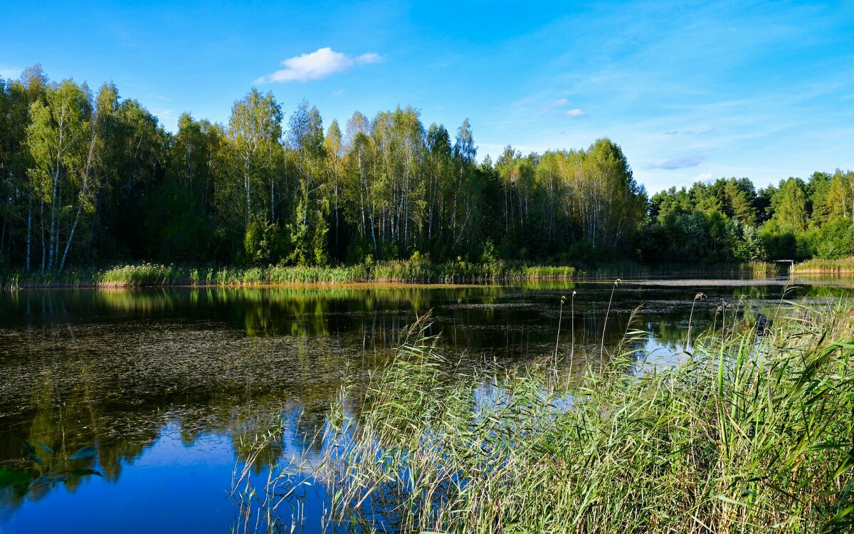 Осенний вечер на озере (репортаж из поездки по области). - Милешкин Владимир Алексеевич 