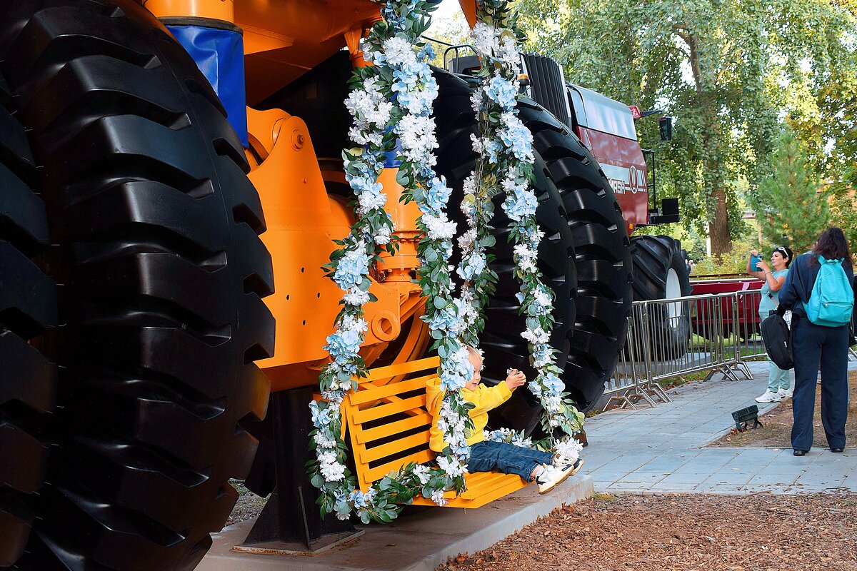 Качели на кузове. - Татьяна Помогалова